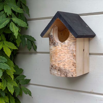 Berken Nestkast Kingston - halfopen