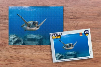 Puzzel Een zwemmende groene schildpad in het blauwe water - Legpuzzel - Puzzel 500 stukjes