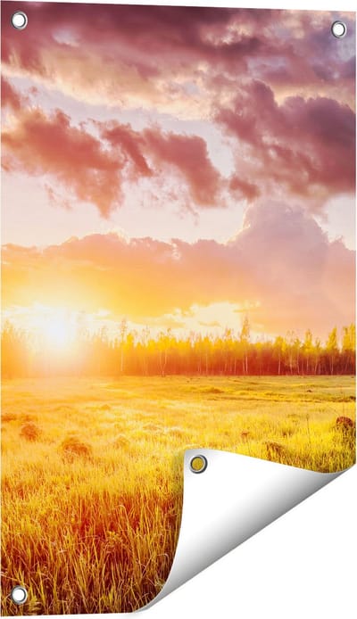 Gards Tuinposter Zonsopkomst in het Veld - 40x60 cm - Tuindoek - Tuindecoratie - Wanddecoratie buiten - Tuinschilderij