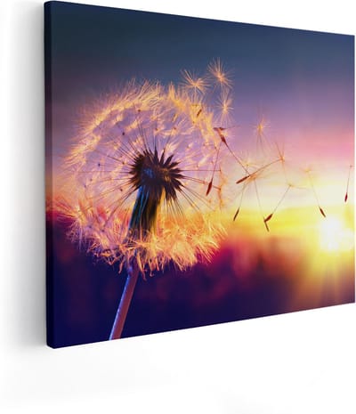 Artaza Canvas Schilderij Paardenbloem - 100x80 cm - Groot - Wanddecoratie Zonsondergang - Muurdecoratie Woonkamer - Decoratie Natuur