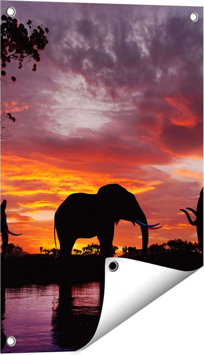 Gards Tuinposter Olifanten tijdens Zonsondergang - Silhouet - 40x60 cm - Tuindoek - Tuindecoratie - Wanddecoratie buiten - Tuinschilderij