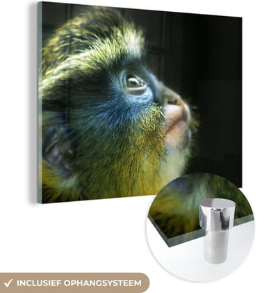MuchoWow® Glasschilderij 160x120 cm - Schilderij acrylglas - Aap - Vacht - Zwart - Foto op glas - Schilderijen