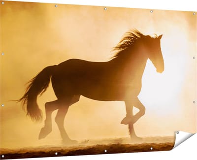 Gards Tuinposter Silhouet van een Paard - 180x120 cm - Tuindoek - Tuindecoratie - Wanddecoratie buiten - Tuinschilderij