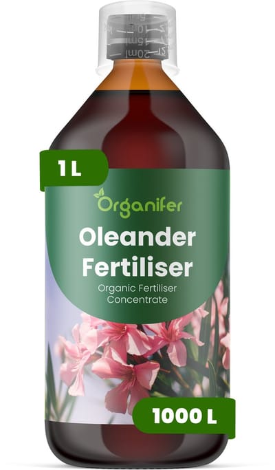 Vloeibare Meststof Voor Oleander 1 L Voor 1000 L - Npk 2-1-8 - Bevordert Uitbundige Bloei En Een Langere Bloeiduurtijd - Verbetert De Taksterkte En De Bladkwaliteit Van Groenblijvende Bladeren - Geschikt Voor Alle Oleandervariëteiten- Organifer