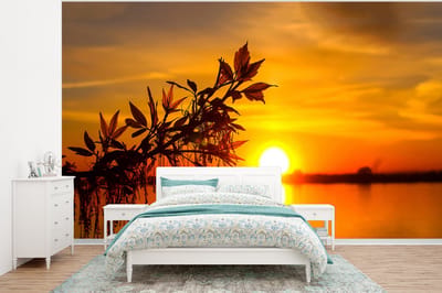 Behang - Fotobehang Zonsondergang - Water - Planten - Oranje - Breedte 375 cm x hoogte 280 cm