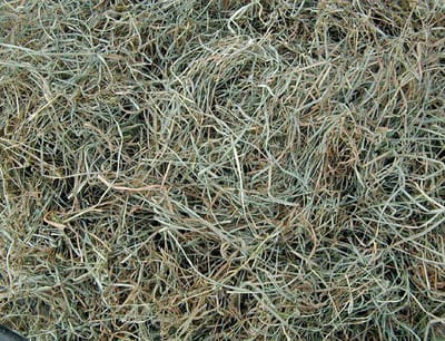 Eckhardt Kleinverpakkingen Hooi 4,5 kilo (140 liter)