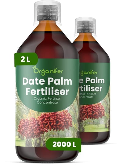 Vloeibare Meststof Voor Dadelpalm 2X1 L Voor 2000 L - Npk 2-1-8 - Bevordert Sterke Stam- En Bladontwikkeling Voor Een Stabiel - Hoge Palmstructuur - Ondersteunt Langdurige Productiviteit - Organifer