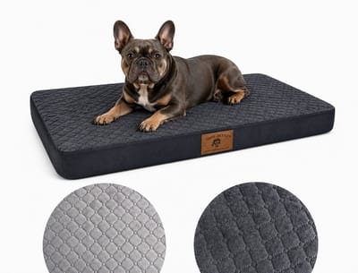 Hondenmat Gewatteerd 80x60 cm – Zachte Benchmat voor Hond – Comfortabel Hondenkussen, Ligmat en Reismat voor Kleine en Middelgrote Honden, grafiet