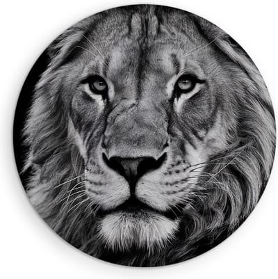 Saammp Muurcirkel Hout - Leeuwen Portret - zwart-wit - Dieren - Natuur - Ø 90 - Wandcirkel - Wanddecoratie Cirkel - Muurdecoratie Woonkamer - Slaapkamer decoratie - Rond Schilderij