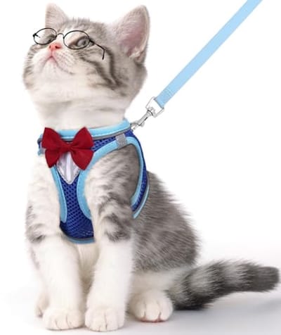 Verstelbaar kattenharnas met riem - Ademend en veilig voor wandelen