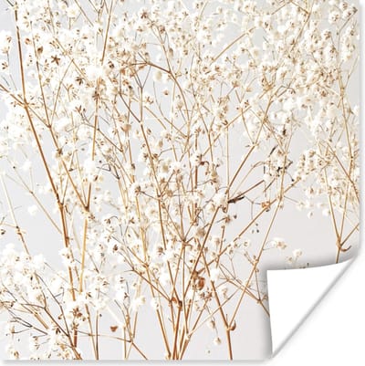 Poster Natuur - Takken - Bloemen - 100x100 cm XXL