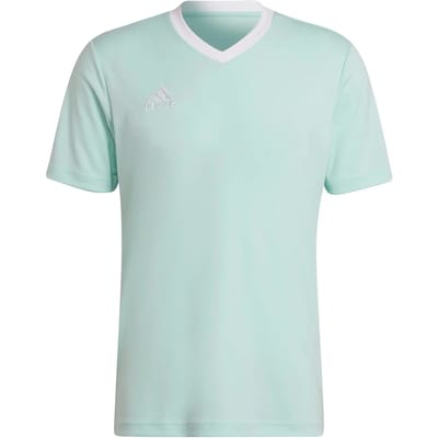 Adidas Entrada 22 Shirt Korte Mouw Heren - Wit / Munt | Maat: S