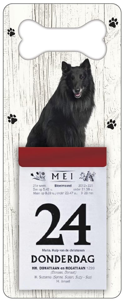 Scheurkalender 2027 Hond: Groenendaeler