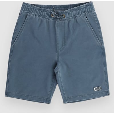 Salty Crew Seadog Volley Kids Boardshorts blauw