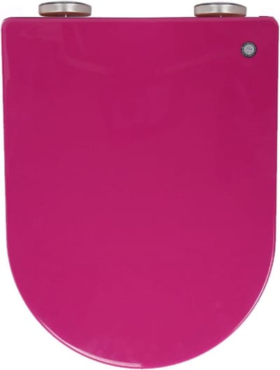 Universele D-vorm WC-bril met Softclose en Quick Release, Verstelbaar Montage