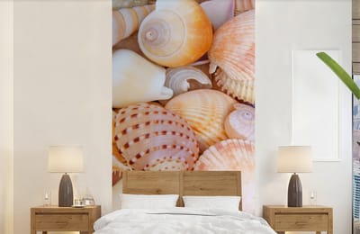 Behang - Fotobehang Schelpen - Strand - Zomer - Oranje - Breedte 120 cm x hoogte 240 cm