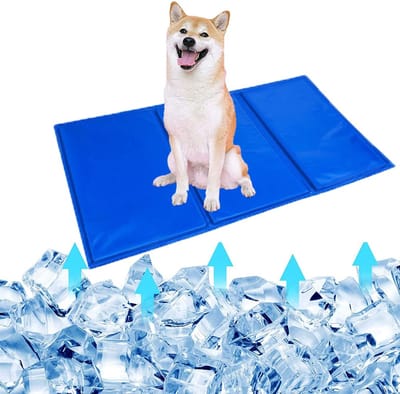 Huisdier koelmat blauw 50x40cm - duurzame gel ijsmat voor zomer, verkoelend kussen geschikt voor honden en allerlei huisdieren-Geschikt voor middelgrote Shiba Inu's en katten.