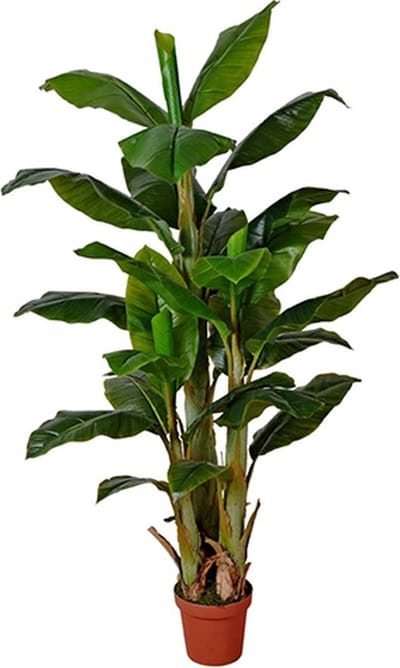 Kunst Bananenboom - 170 cm
