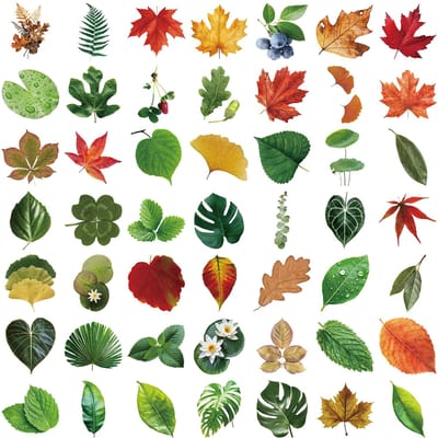 50PCS Autocollant Vert Feuille d'Arbre Transparent Imperméable Décoratif Guitare Cahier Papeterie Autocollant PVC green
