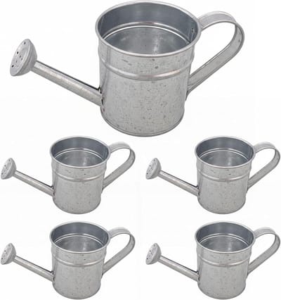 Mini Gieter Set - Kleine Waterkruik - Kamerplanten Water Geven - Gegalvaniseerd IJzer - 5 stuks - Zilver