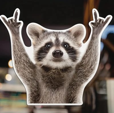 GoedeDoelen.Shop Autosticker Wasbeer - Racoon vinylsticker 13x13 cm - Weerbestendig