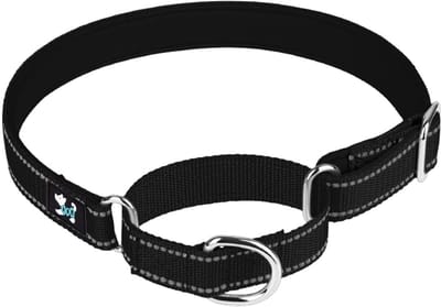 Dailygoods- Hondenhalsband Verstelbaar - Martingale Veiligheidstraining - Neopreen Gewatteerd - Nylon Ademend - Maat S/M/L - Lengte 32-60 cm - Halsband