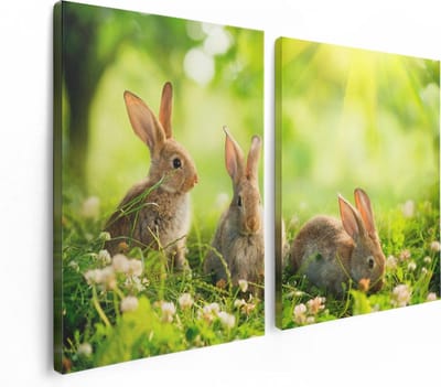 Artaza Canvas Schilderij Tweeluik Drie Konijnen Op Het Gras Bij Zonneschijn - 120x80 - Foto Op Canvas - Canvas Print