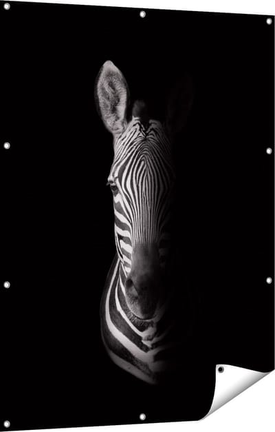 Gards Tuinposter Halve Zebra - Zwart Wit - 90x120 cm - Tuindoek - Tuindecoratie - Wanddecoratie buiten - Tuinschilderij