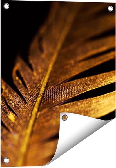 Gards Tuinposter Gouden Veer - 40x50 cm - Tuindoek - Tuindecoratie - Wanddecoratie buiten - Tuinschilderij