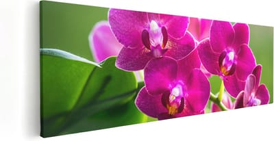 Artaza Canvas Schilderij Bloemen - 60x20 cm - Muurdecoratie Orchidee - Wanddecoratie Woonkamer - Kamer Accessoires