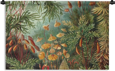 Wandkleed - Wanddoek - Oude meesters - Kunst - Muscinae - Haeckel - 180x120 cm - Wandtapijt