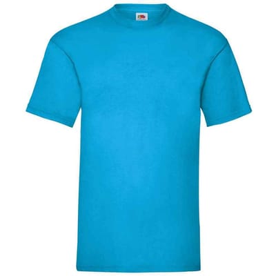 Fruit of the Loom Heren Valueweight T-Shirt (Azuurblauw)