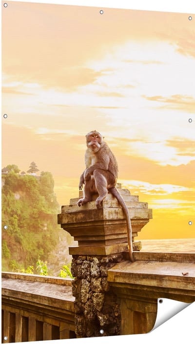 Gards Tuinposter Aap op de Uluwatu Tempel in Bali - 100x150 cm - Tuindoek - Tuindecoratie - Wanddecoratie buiten - Tuinschilderij