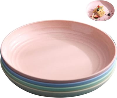 plastic borden, 4 stuks herbruikbare plastic borden, 19,8 cm onbreekbaar camping bord, vaatwasbestendig, lichte picknick- en campingborden voor dagelijks gebruik, feesten en picknicks
