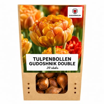 Tulpenbollen Gudoshnik Double - 20 Stuks - Dubbelbloemige Tulpen - Geel, Oranje en Rood - Maat 11/12