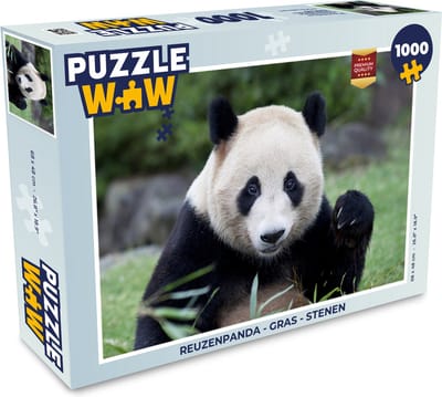 Puzzel Reuzenpanda - Gras - Stenen - Legpuzzel - Puzzel 1000 stukjes volwassenen