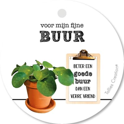 Tallies Cards - kadokaartjes  - bloemenkaartjes - Buur - Plant - set van 5 kaarten - zomaar - aardigheidje - groetjes - 100% Duurzaam