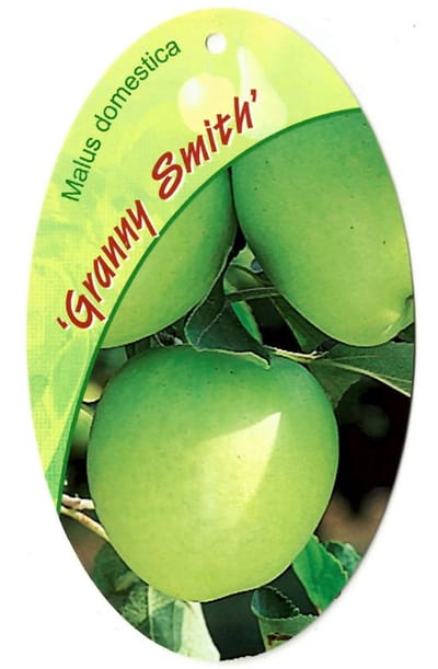 Oosterik home - Malus Domestica Granny Smith