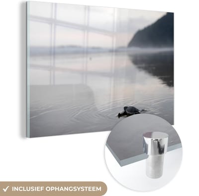 ® Glasschilderij 180x120 cm - Schilderij acrylglas - Zwart-wit foto van de zee met uitzicht op het landschap van het Nationaal park Meru Betiri - Foto op glas - Muurdecoratie woonkamer - Wanddecoratie slaapkamer - Schilderijen