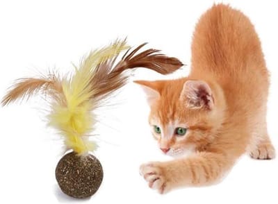 Okado Kattenkruid Balletje met Veer 3 cm – Interactief Kattenspeelgoed met Catnip – Speelbal voor Katten – 1 Stuk