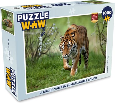 Puzzel Close-up van een Sumatraanse tijger - Legpuzzel - Puzzel 1000 stukjes volwassenen
