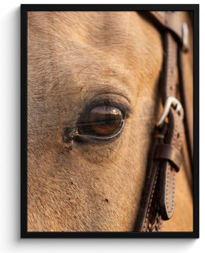 Poster in lijst - Fotolijst 60x80 cm - Posters - Paard - Oog - Bruin - Posterlijst zwart - Decoratie - Wanddecoratie woonkamer - Muurdecoratie slaapkamer