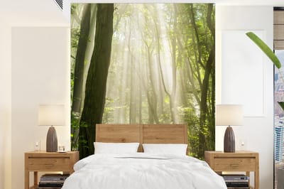 Behang - Fotobehang Bos - Licht - Natuur - Landschap - Breedte 190 cm x hoogte 260 cm