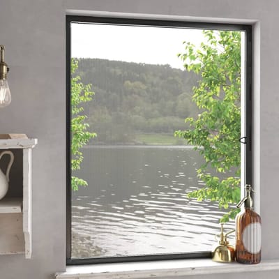 vidaXL - Raamhor - 100x120 - cm - antracietkleurig