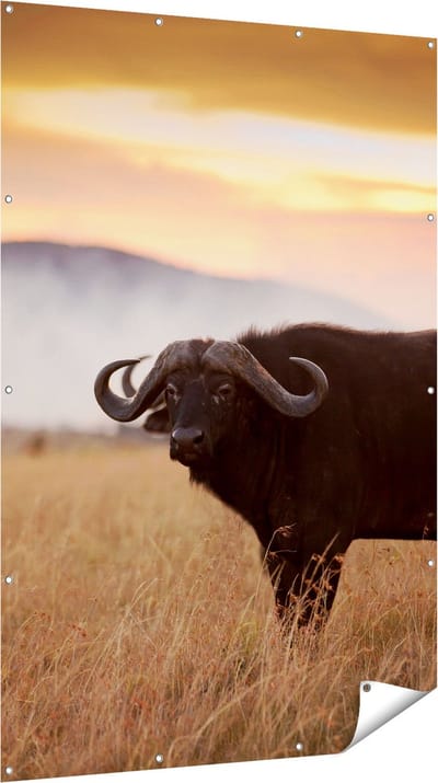 Gards Tuinposter Buffel in het Gras - 120x180 cm - Tuindoek - Tuindecoratie - Wanddecoratie buiten - Tuinschilderij