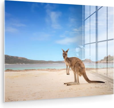 MuchoWow® Glasschilderij 80x60 cm - Schilderij acrylglas - Strand - Kangoeroe - Australië - Foto op glas - Muurdecoratie woonkamer - Wanddecoratie slaapkamer - Schilderijen