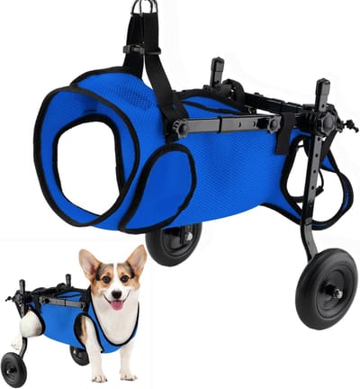 Hondenrolstoel Achterpoten - Hondenkar Mobiliteit - Huisdier Herstel - Verstelbaar Aluminium Frame - Diverse Maten - Blauw