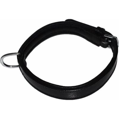 Hondenhalsband Hekktor Bor