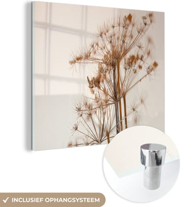 MuchoWow® Glasschilderij 50x50 cm - Schilderij acrylglas - Droogbloemen - Stilleven - Wit - Planten - Bloemen - Foto op glas - Muurdecoratie woonkamer - Wanddecoratie slaapkamer - Schilderijen