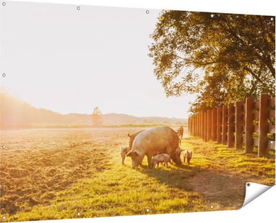 Gards Tuinposter Varken Familie - Varkens - 180x120 cm - Tuindoek - Tuindecoratie - Wanddecoratie buiten - Tuinschilderij